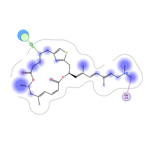 ligand interaction