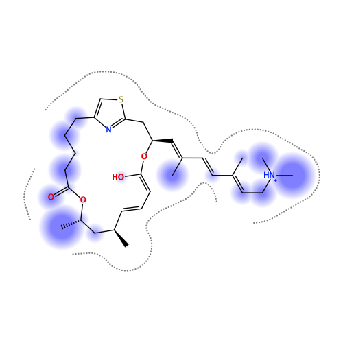 ligand interaction