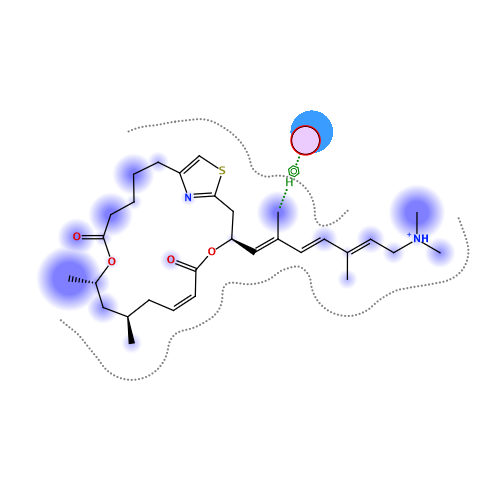 ligand interaction