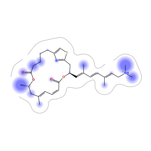 ligand interaction