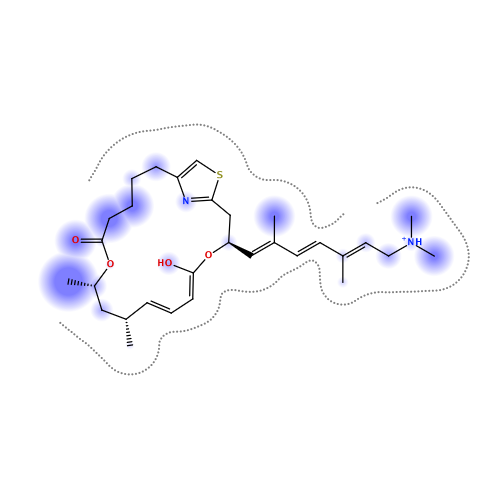 ligand interaction