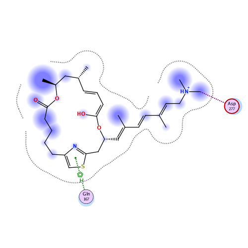 ligand interaction