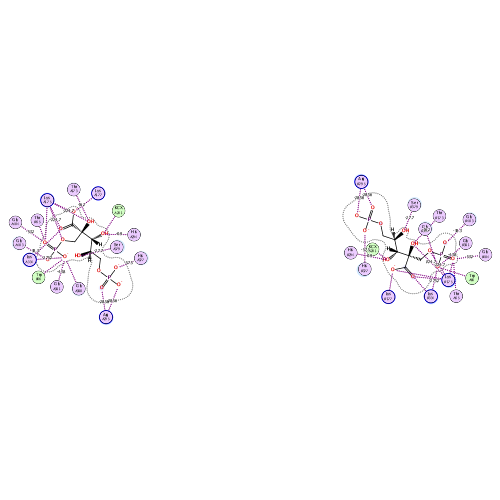 ligand interaction