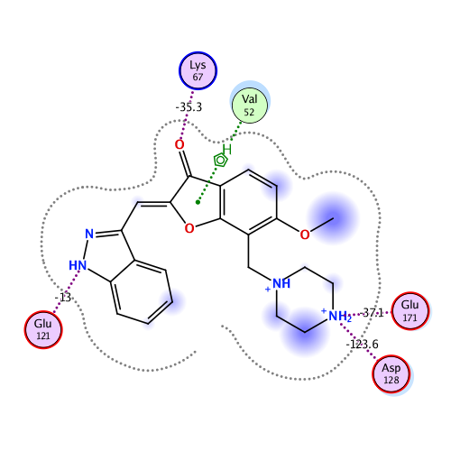 ligand interaction