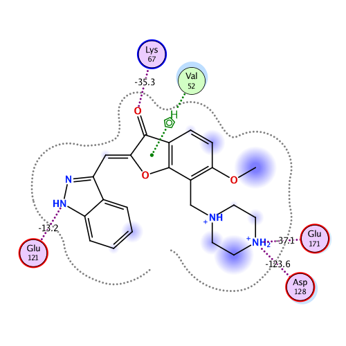 ligand interaction