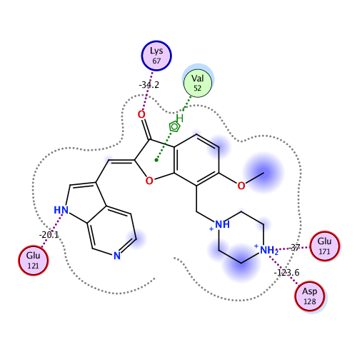 ligand interaction