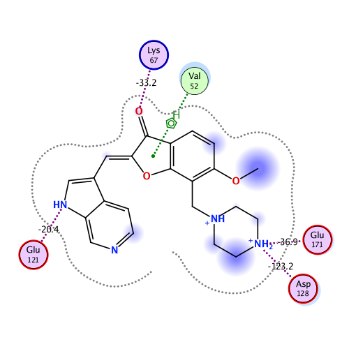 ligand interaction