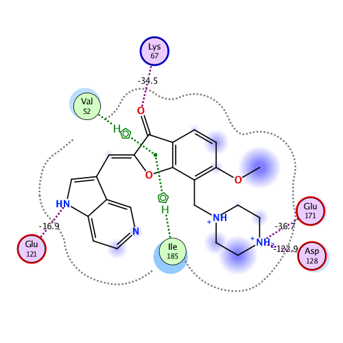 ligand interaction