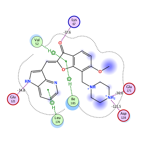 ligand interaction