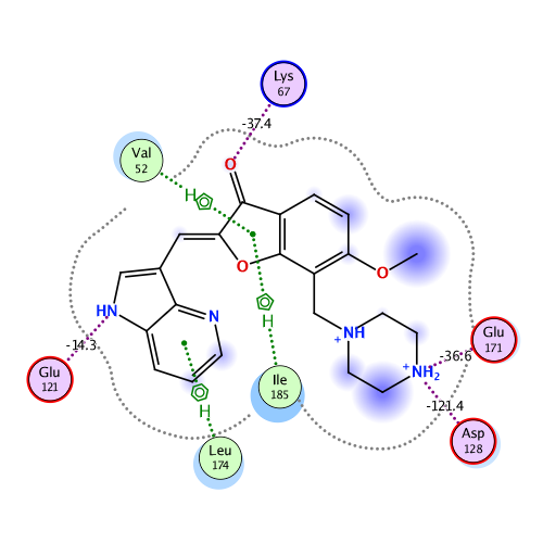 ligand interaction