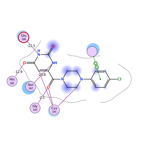 ligand interaction