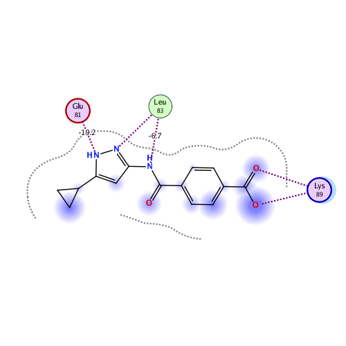 ligand interaction