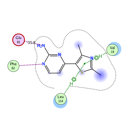 ligand interaction
