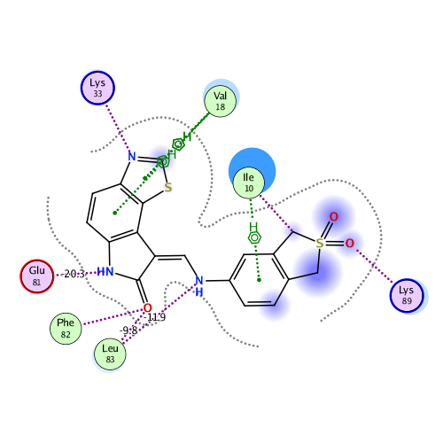 ligand interaction