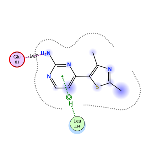 ligand interaction