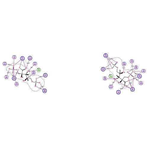 ligand interaction