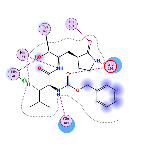 ligand interaction