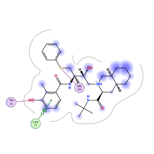 ligand interaction