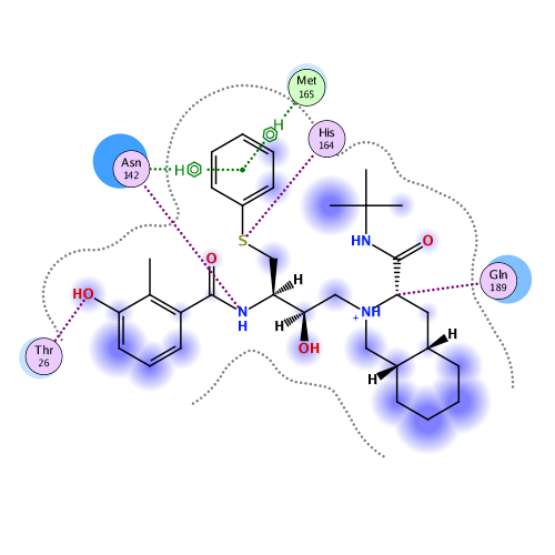 ligand interaction