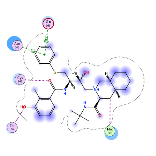 ligand interaction