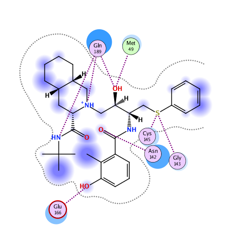 ligand interaction