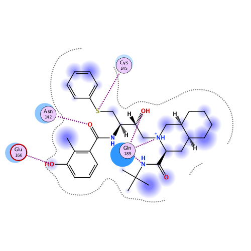 ligand interaction