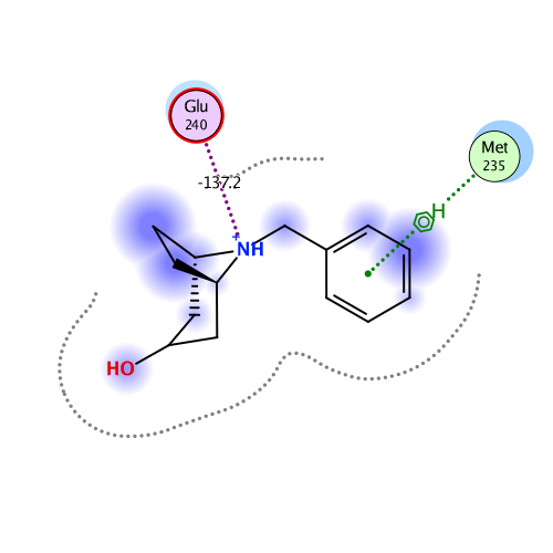 ligand interaction