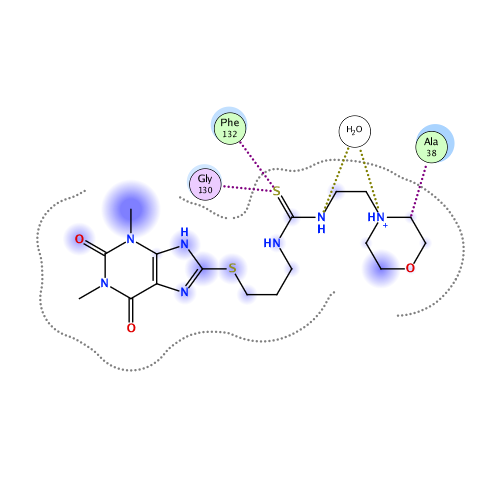 ligand interaction