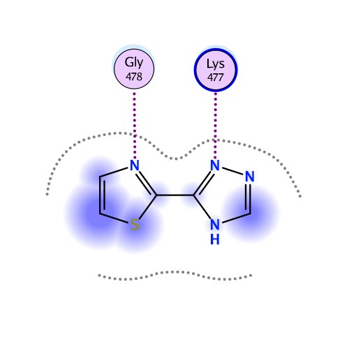 ligand interaction