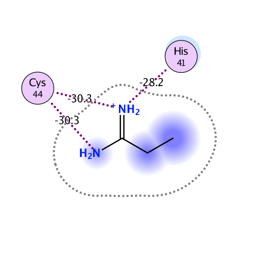 ligand interaction