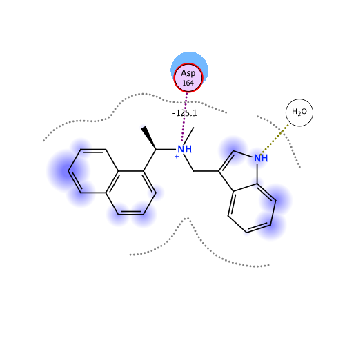 ligand interaction