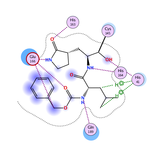 ligand interaction