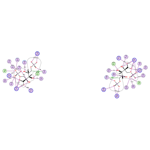 ligand interaction