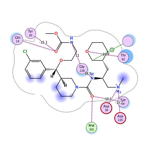 ligand interaction