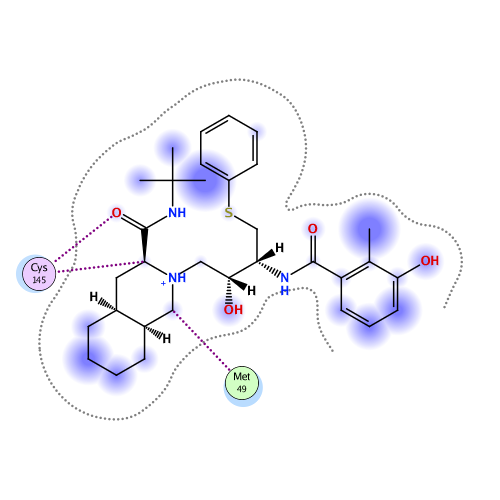 ligand interaction
