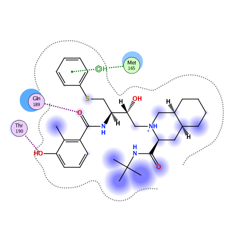 ligand interaction