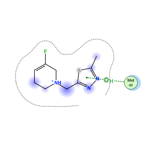 ligand interaction