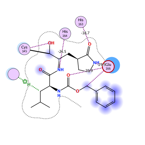 ligand interaction