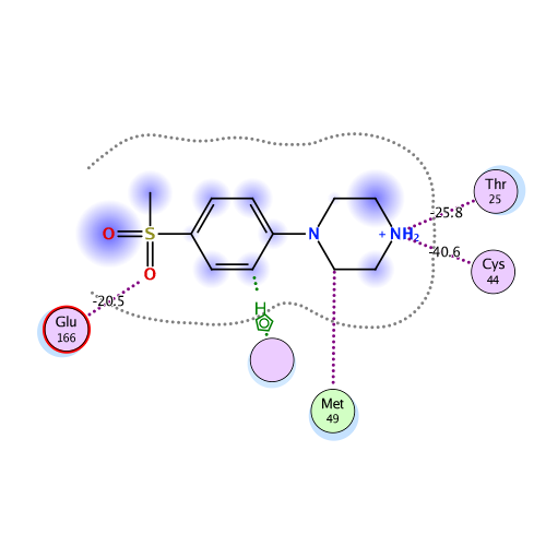 ligand interaction