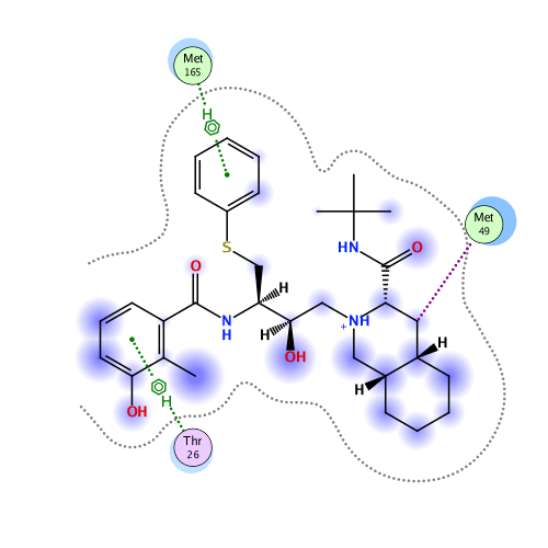 ligand interaction