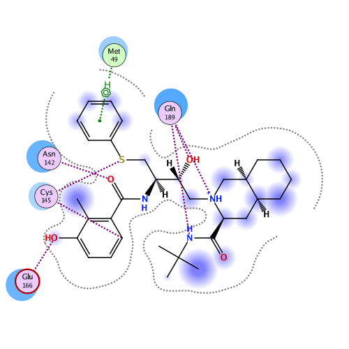 ligand interaction