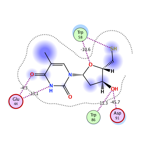 ligand interaction