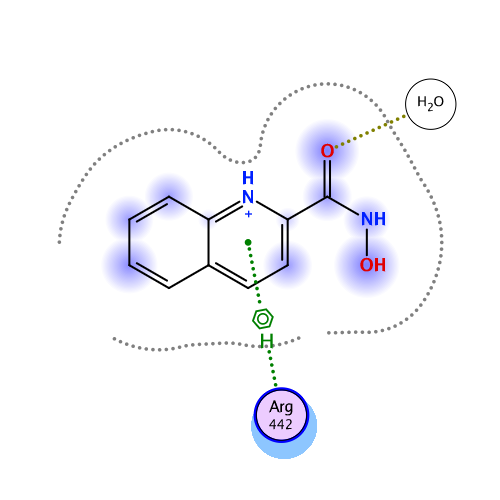 ligand interaction