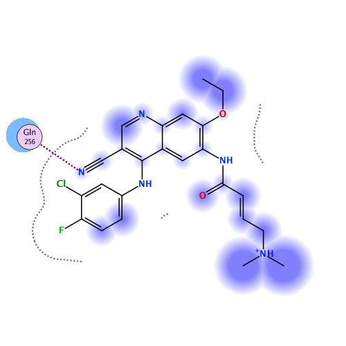 ligand interaction