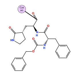 ligand structure