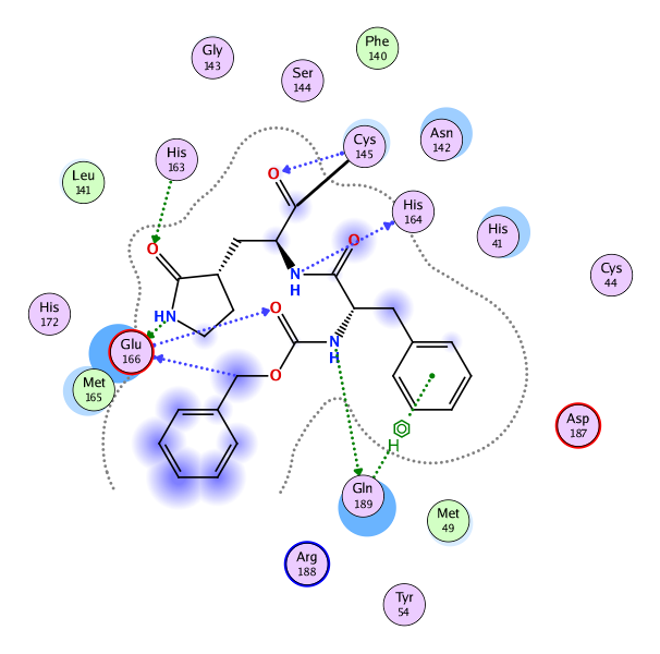 ligand interaction