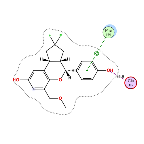 ligand interaction