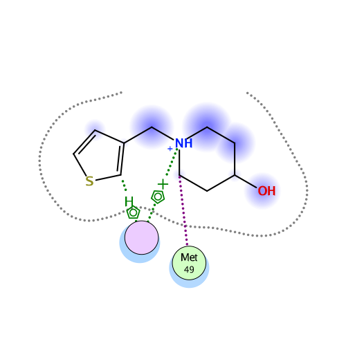 ligand interaction