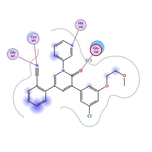 ligand interaction