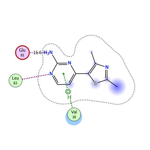 ligand interaction